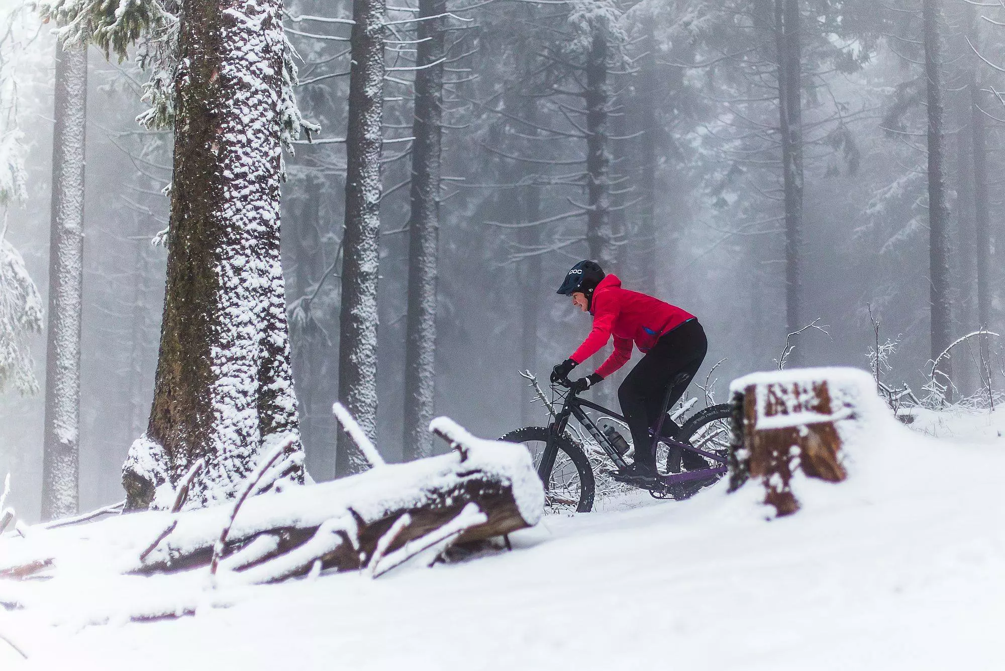 Cykler Salgsbutik -Cykler Salgsbutik 147681448 3973785612652442 1360235826666268607 n