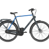Gazelle CityGo Herre