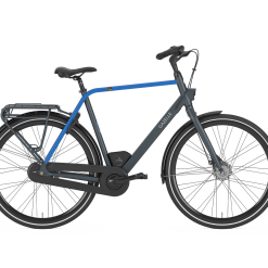 Gazelle CityGo Herre