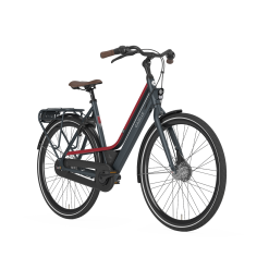 Gazelle CityGo Dame 9 Gazelle CityGo Dame -Cykler Salgsbutik 7988 citygoc7r7tdustmat 218 2 fpfss
