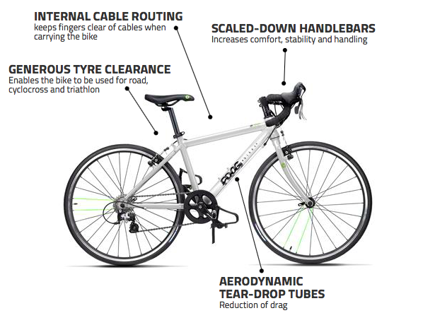 Frog Road 67 5 Frog Road 67 - Billede 5