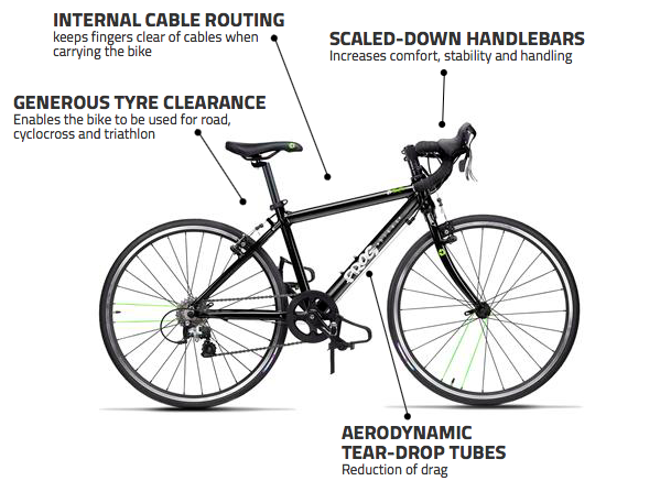Frog Road 67 4 Frog Road 67 - Billede 4