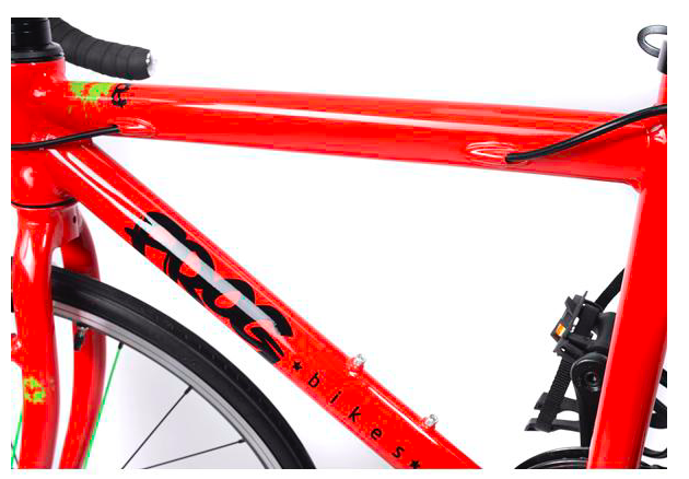 Frog Road 67 2 Frog Road 67 - Billede 2