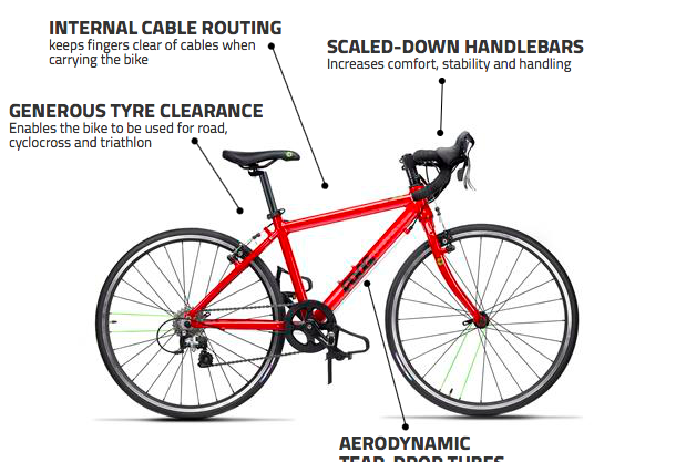 Frog Road 67 1 Frog Road 67
