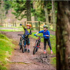 Frog MTB 62 -Cykler Salgsbutik Screen Shot 2019 01 04 at 17.35.44