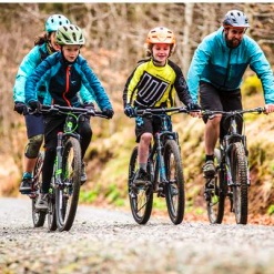 Frog MTB 62 -Cykler Salgsbutik Screen Shot 2019 01 04 at 17.35.56