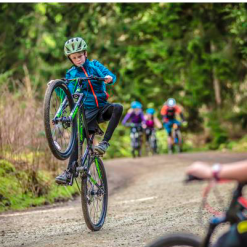 Frog MTB 69 -Cykler Salgsbutik Screen Shot 2019 01 04 at 17.41.21