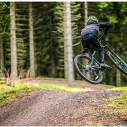 Frog MTB 69 -Cykler Salgsbutik Screen Shot 2019 01 04 at 17.41.29