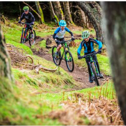 Frog MTB 69 -Cykler Salgsbutik Screen Shot 2019 01 04 at 17.41.40