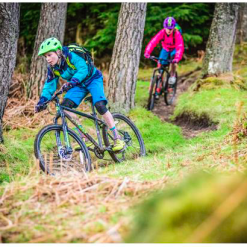 Frog MTB 72 -Cykler Salgsbutik Screen Shot 2019 01 04 at 17.45.06