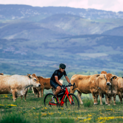 Merida Silex 400 2021 11 Merida Silex 400 2021 -Cykler Salgsbutik Screen Shot 2020 11 26 at 11.23.26 2