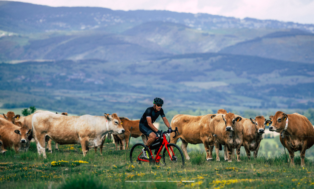 Merida Silex 700 2021 3 Merida Silex 700 2021 - Billede 3