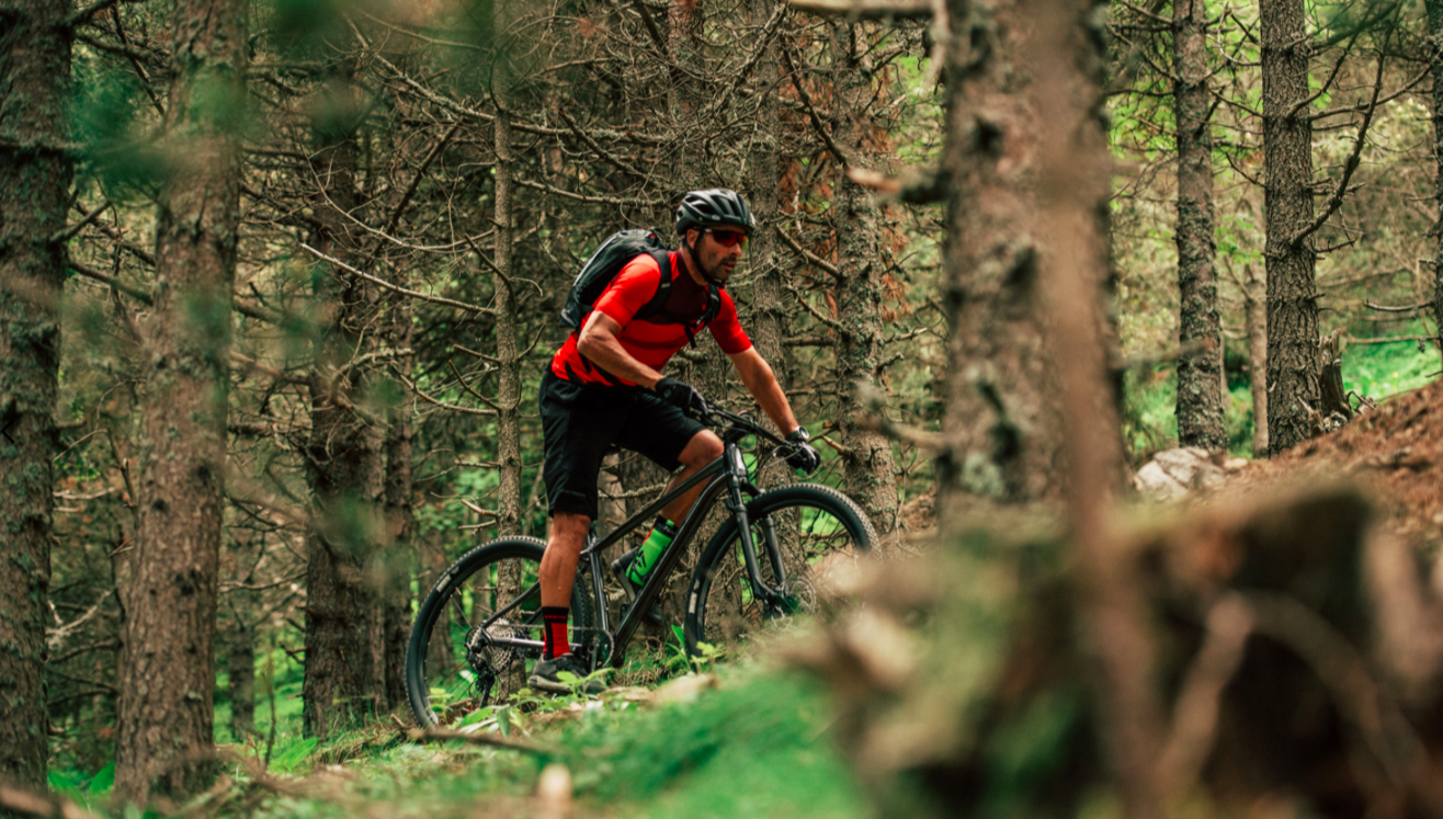 Merida Big.Nine Limited 2021 2 Merida Big.Nine Limited 2021 - Billede 2